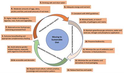 Shifting to a Sustainable Dietary Pattern in Iranian Population: Current Evidence and Future Directions